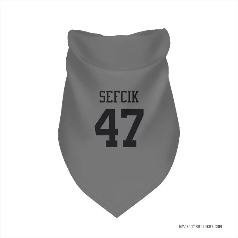 Lincoln Sefcik  New York Jets   Silver Cat & Dog Pet Bandana
