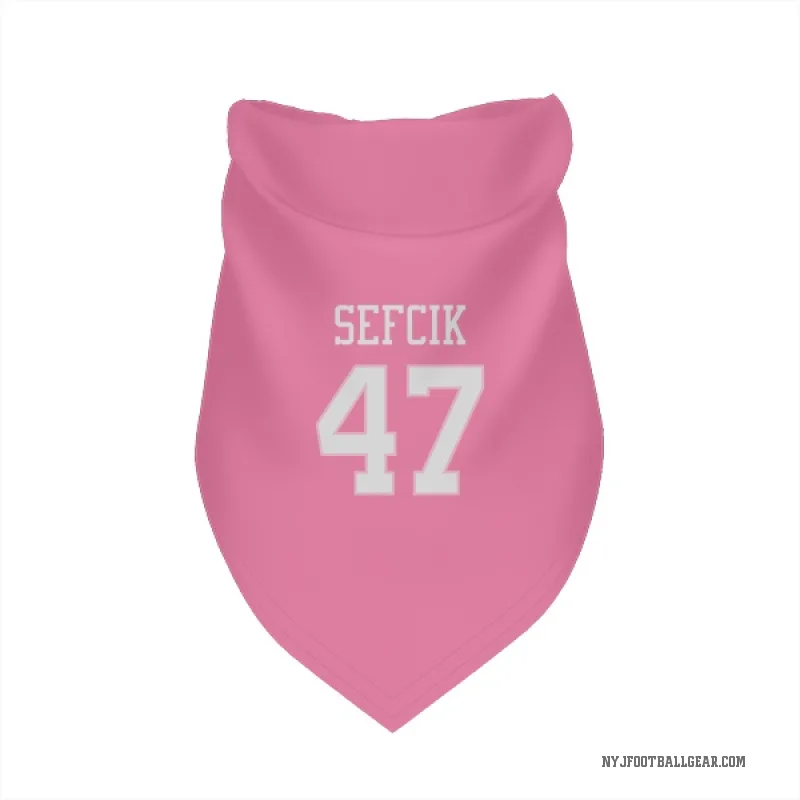 Lincoln Sefcik  Pink New York Jets  Cat & Dog Pet Bandana